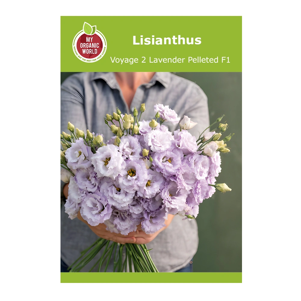 Lisianthus Voyage 2 Lavender Pelleted F1 1 Lisianthus Voyage 2 Lavender Pelleted F1