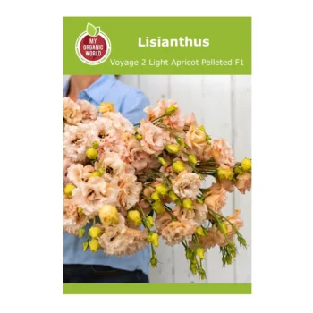 Lisianthus Voyage 2 Light Apricot Pelleted F1