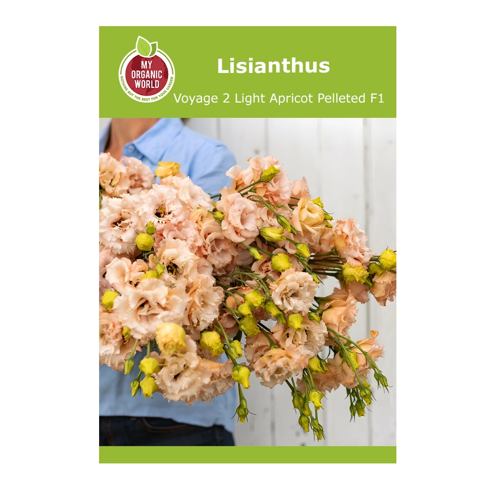 Lisianthus Voyage 2 Light Apricot Pelleted F1 1 Lisianthus Voyage 2 Light Apricot Pelleted F1