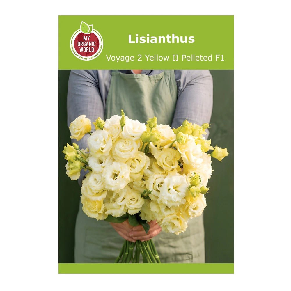 Lisianthus Voyage 2 Yellow II Pelleted F1 1 Lisianthus Voyage 2 Yellow II Pelleted F1
