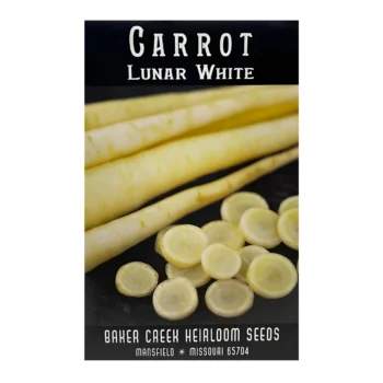 Lunar White Carrot seeds