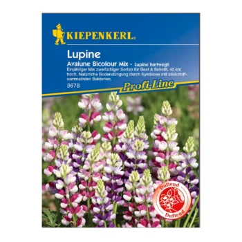 Lupine Avalune Bicolor