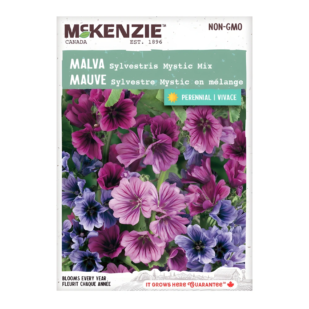 Malva Sylvestris Mystic Mixture seeds