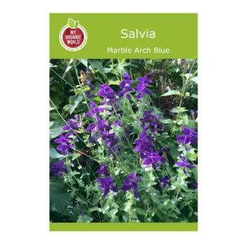 Marble Arch Blue Salvia seeds
