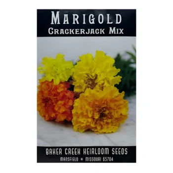 Marigold African Crackerjack Mix