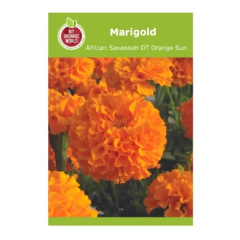 Marigold African Savannah DT Orange Sun
