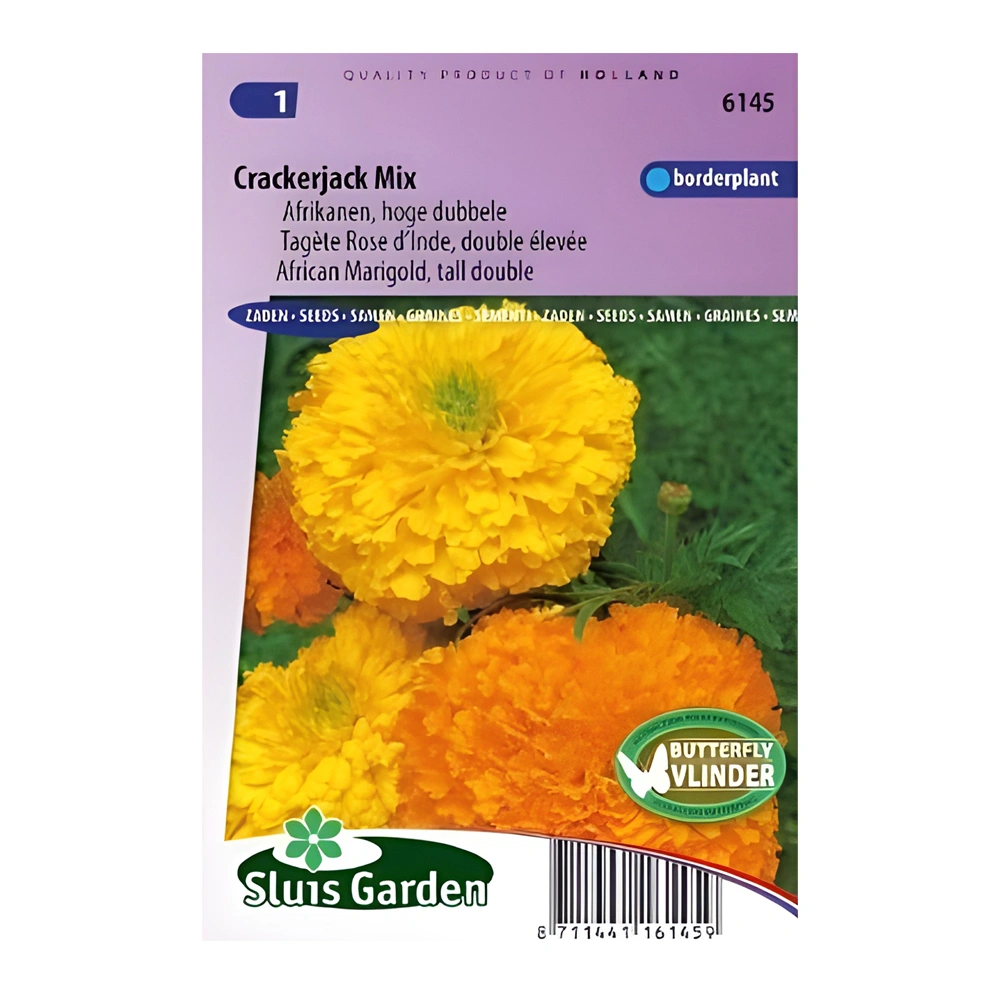 Marigold African Tall Double 1 Marigold African Tall Double