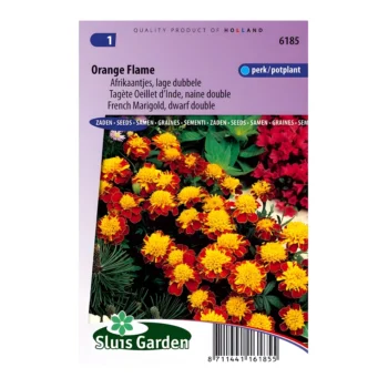 Marigold French Orange Flame