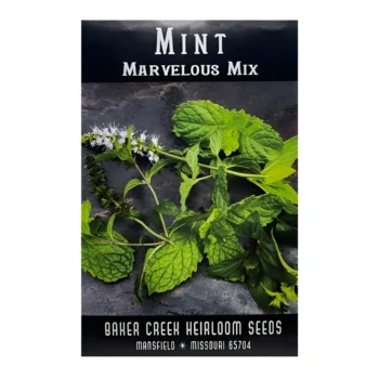Marvelous Mix Mint seeds