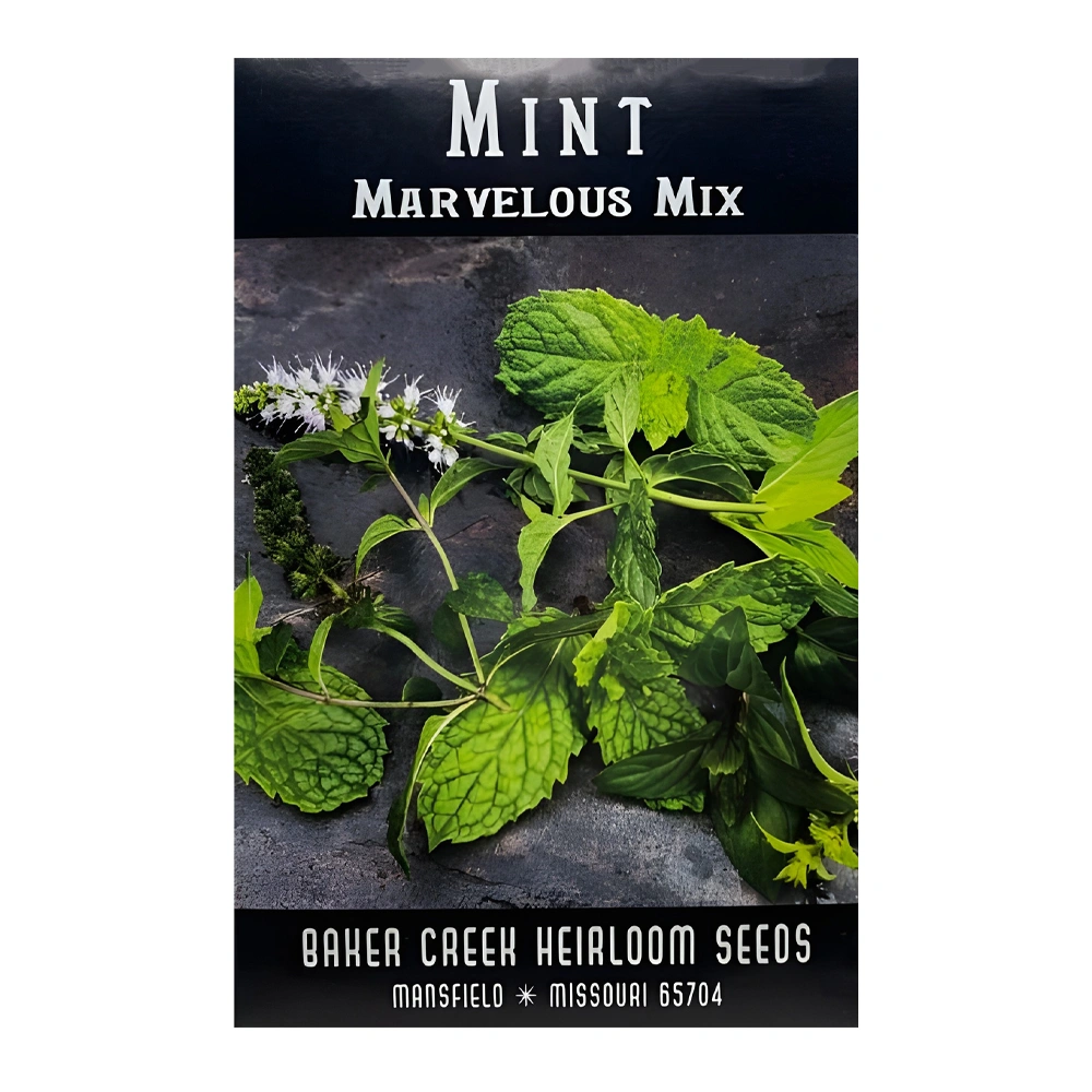 Marvelous Mix Mint seeds