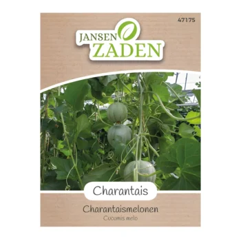 Melon Charentais