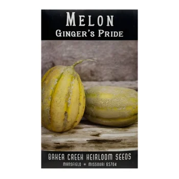 Melon Ginger's Pride