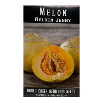 Melon Golden Jenny