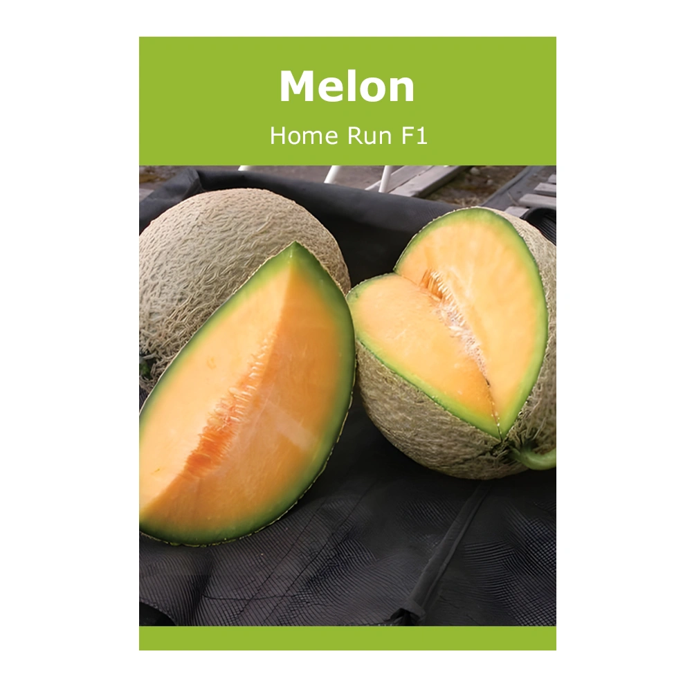 Melon Home Run F1