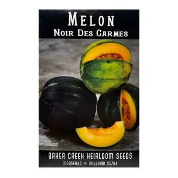 Melon Noir Des Carmes