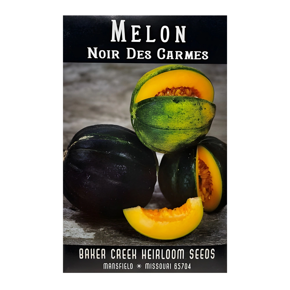 Melon Noir Des Carmes 1 Melon Noir Des Carmes