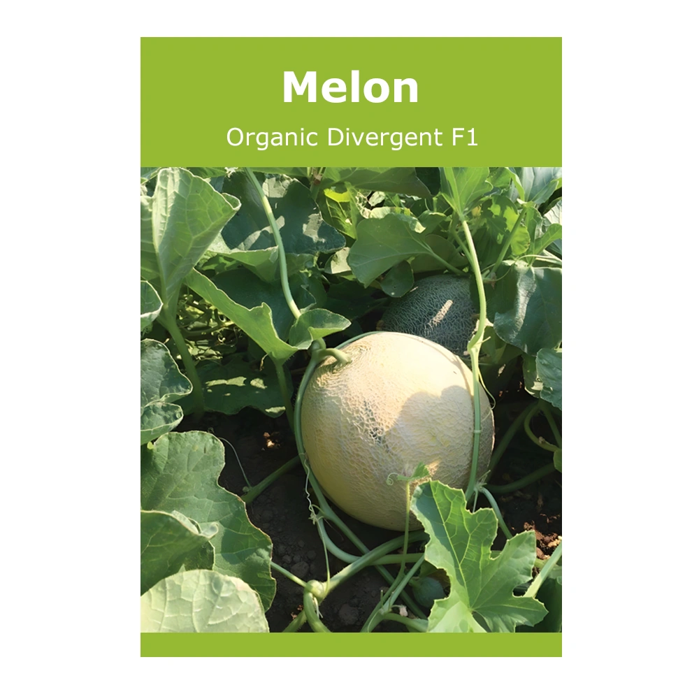 Melon Organic Divergent F1 1 Melon Organic Divergent F1