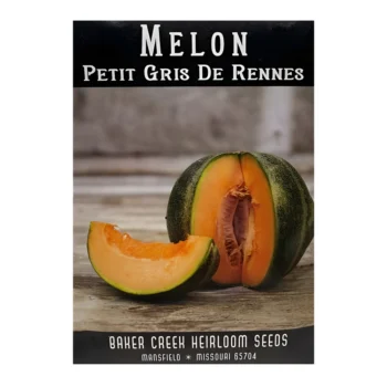 Melon Petit Gris de Rennes