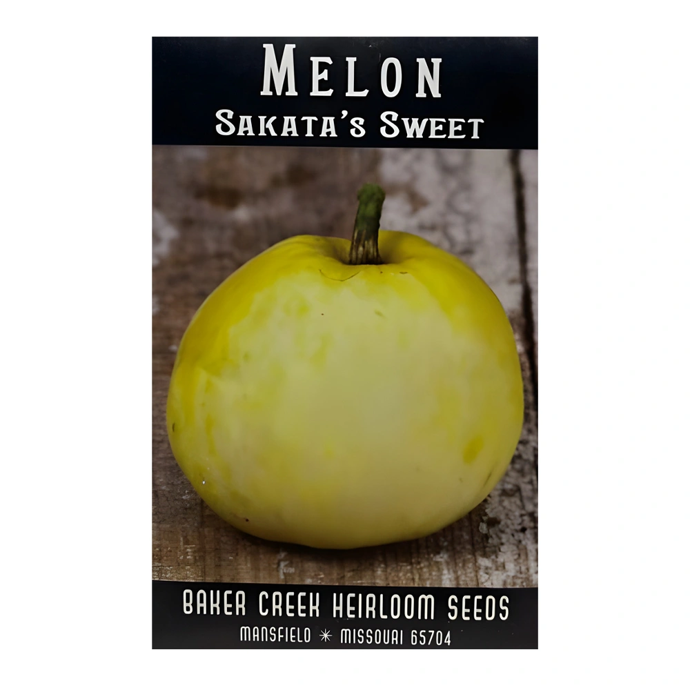 Melon Sakata's Sweet 1 Melon Sakata’s Sweet