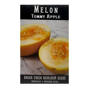 Melon Tommy Apple