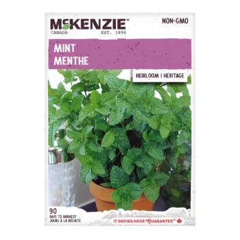 Mint seeds