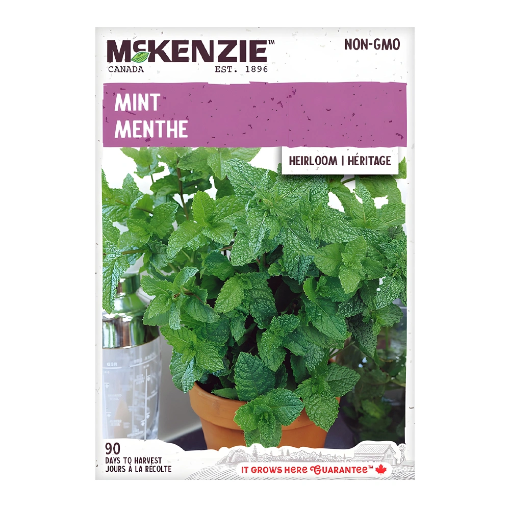 Mint seeds