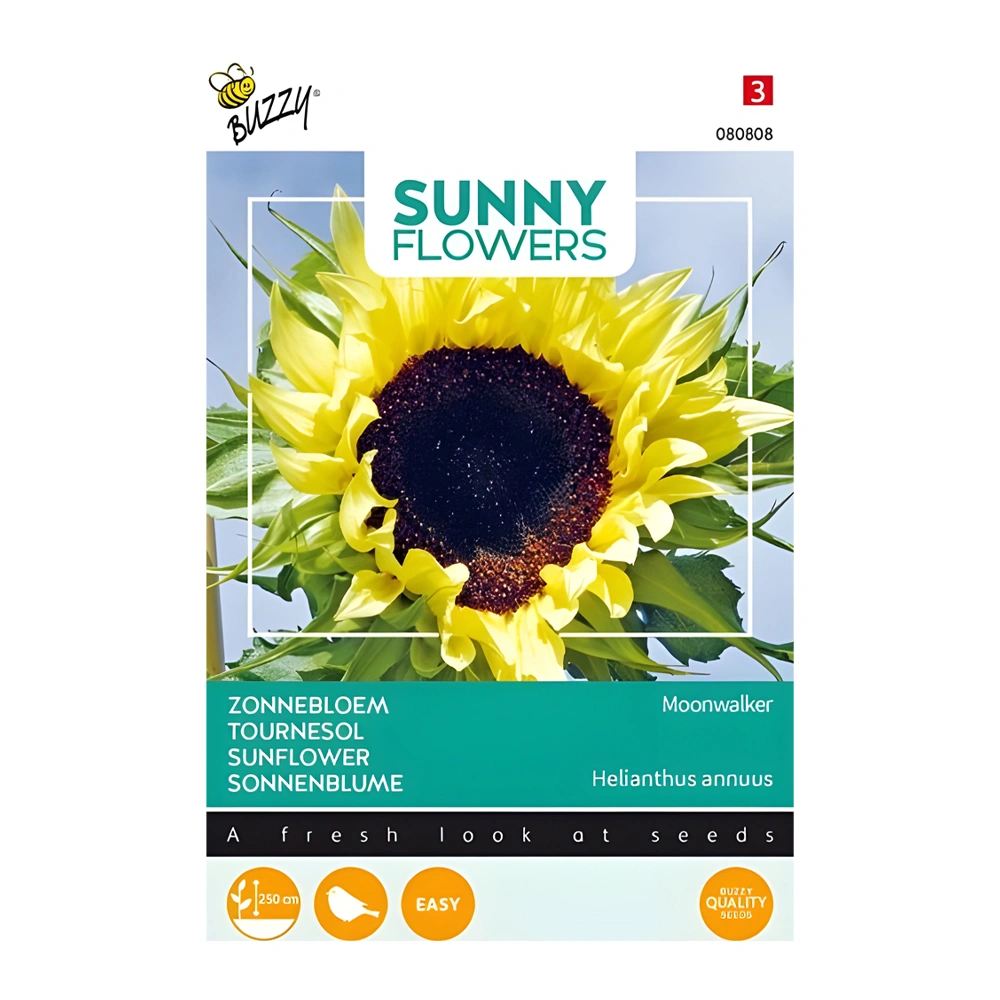 Moonwalker Sunflower 1 Moonwalker Sunflower