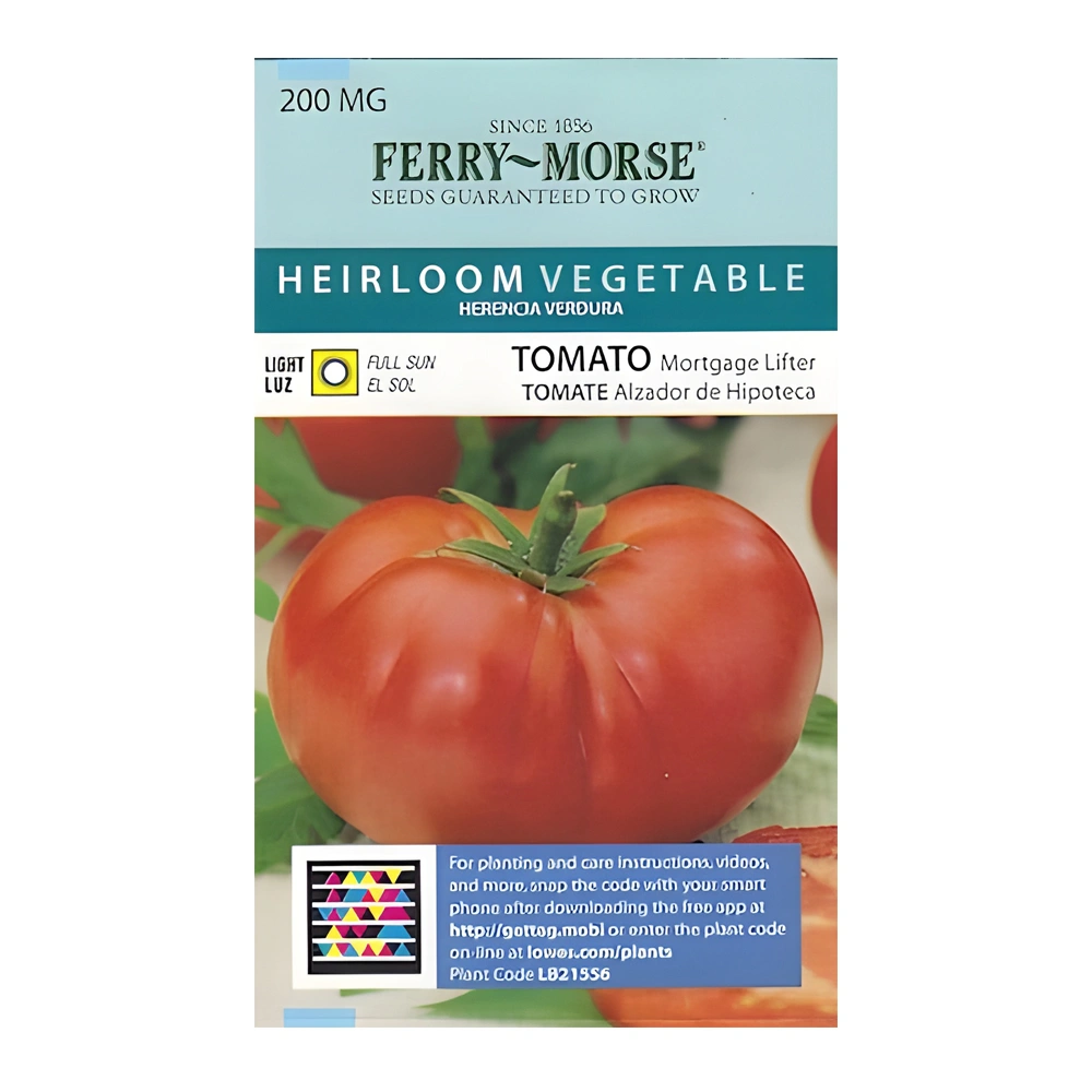 Mortgage Lifter Tomato 1 Mortgage Lifter Tomato seeds