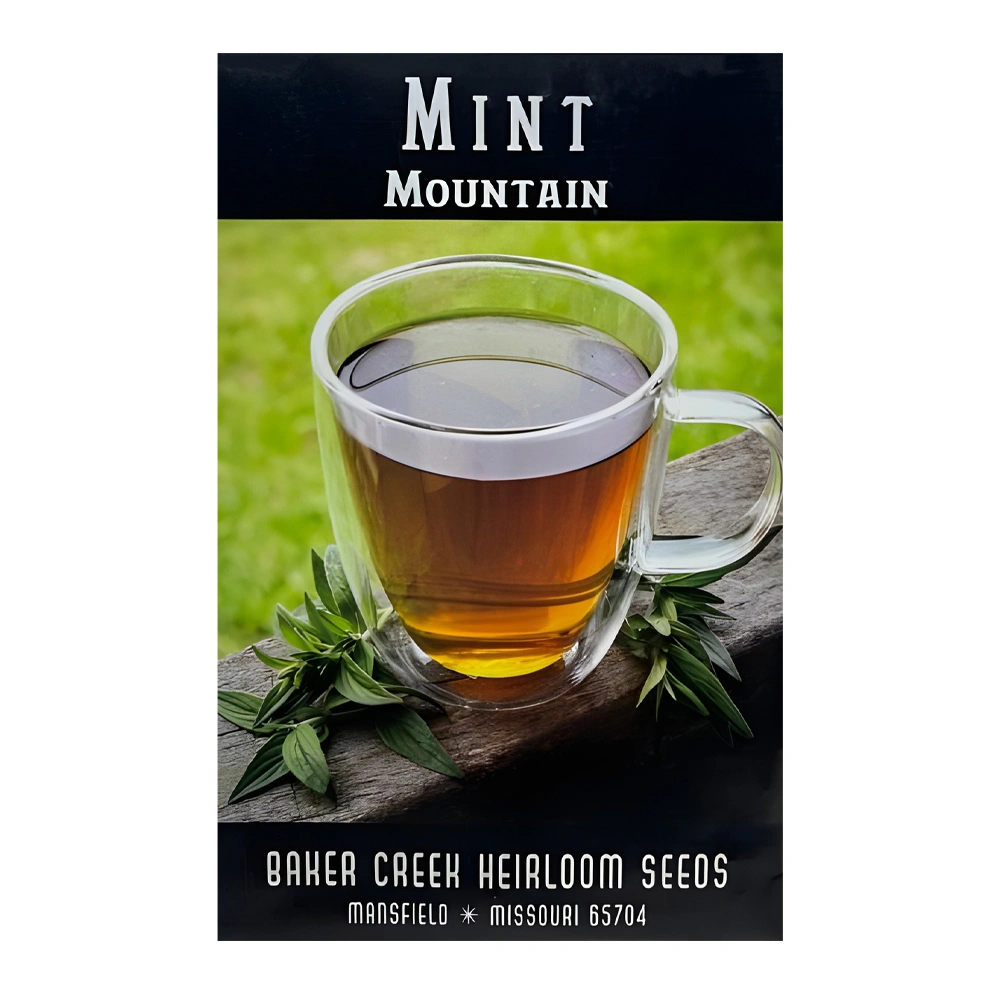 Mountain Mint (Pelleted Seed) 1 Mountain Mint (Pelleted seed)
