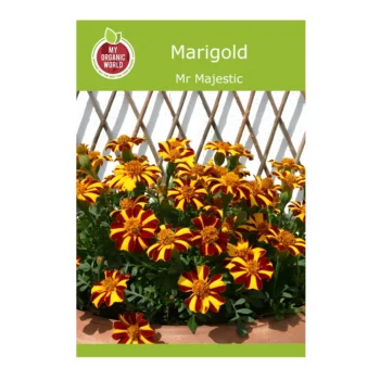Mr Majestic Marigold seeds