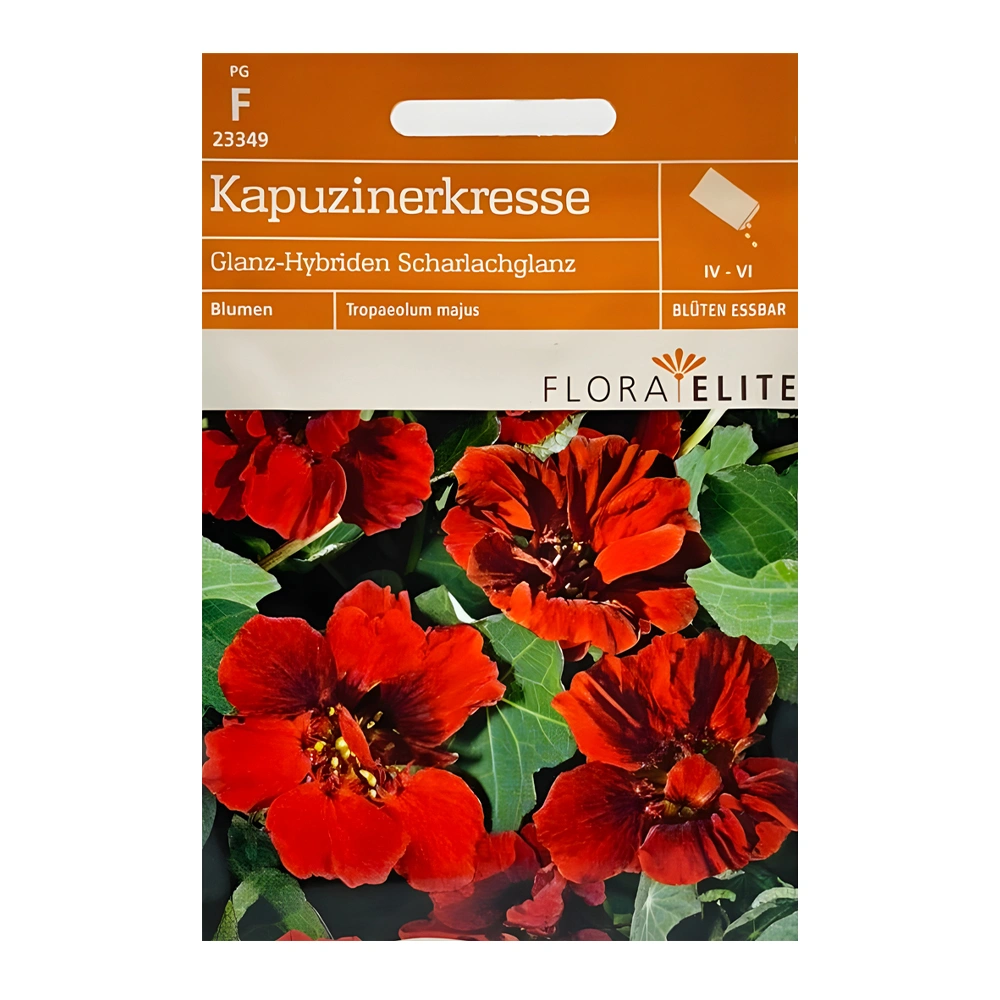 Nasturtium Scarlet Shine 1 Nasturtium Scarlet Shine