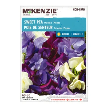Ocean Foam Sweet Pea seeds