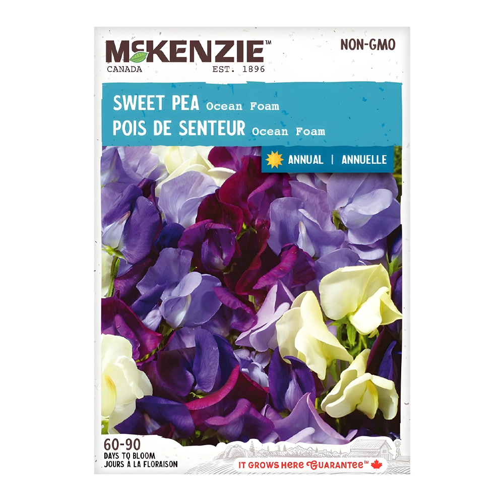 Ocean Foam Sweet Pea seeds