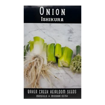 Onion Ishikura