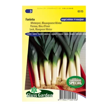 Onion Leek Bluegreen Winter Farinto