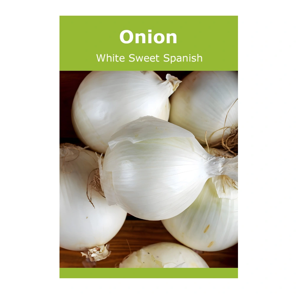 Onion White Sweet Spanish 1 Onion White Sweet Spanish