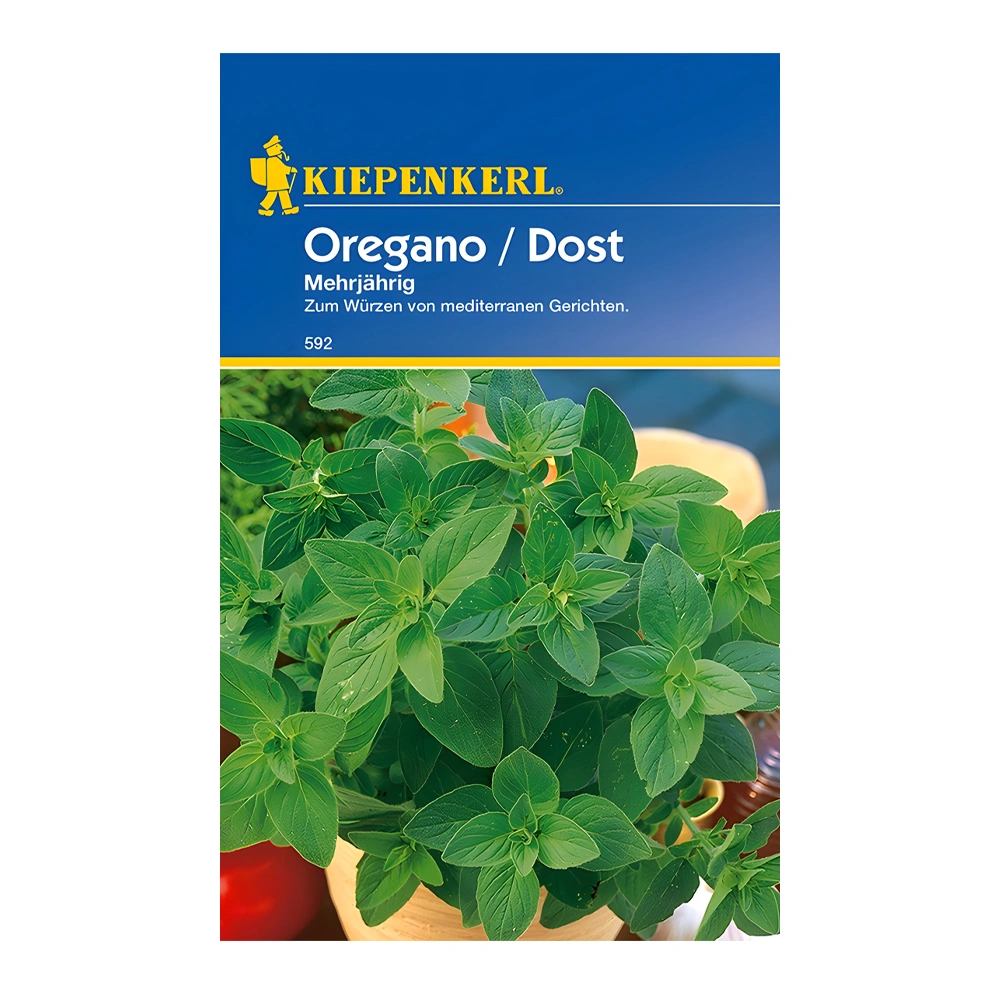 Oregano Dost Perennial 1 Oregano Dost Perennial