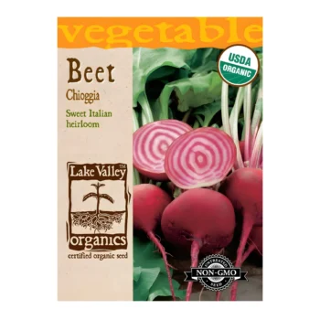 Organic Chioggia Beet seeds