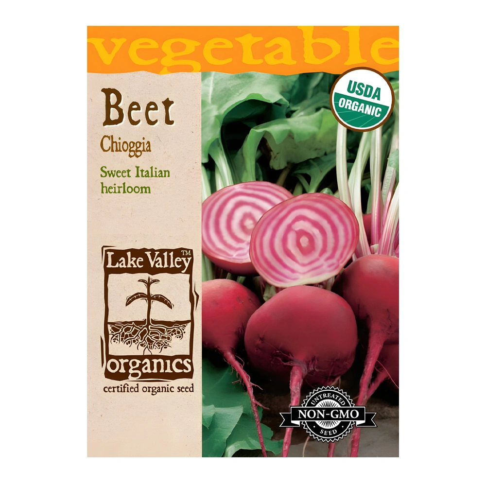 Organic Chioggia Beet seeds