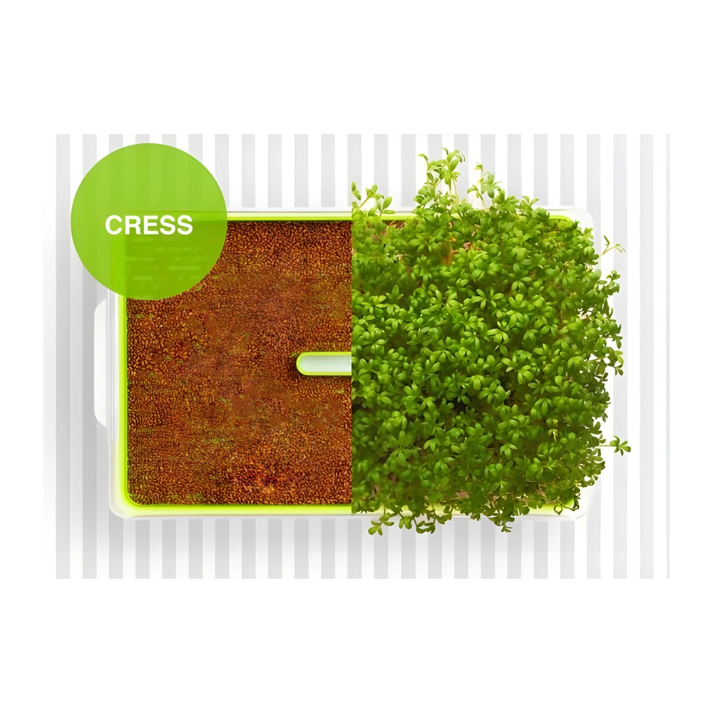 Organic Cress