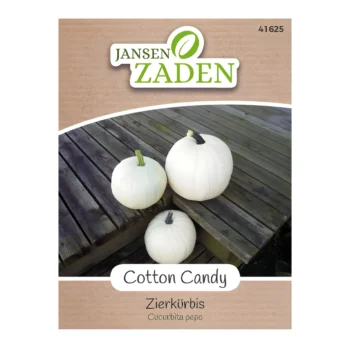 Ornamental Cotton Candy Pumpkin seeds