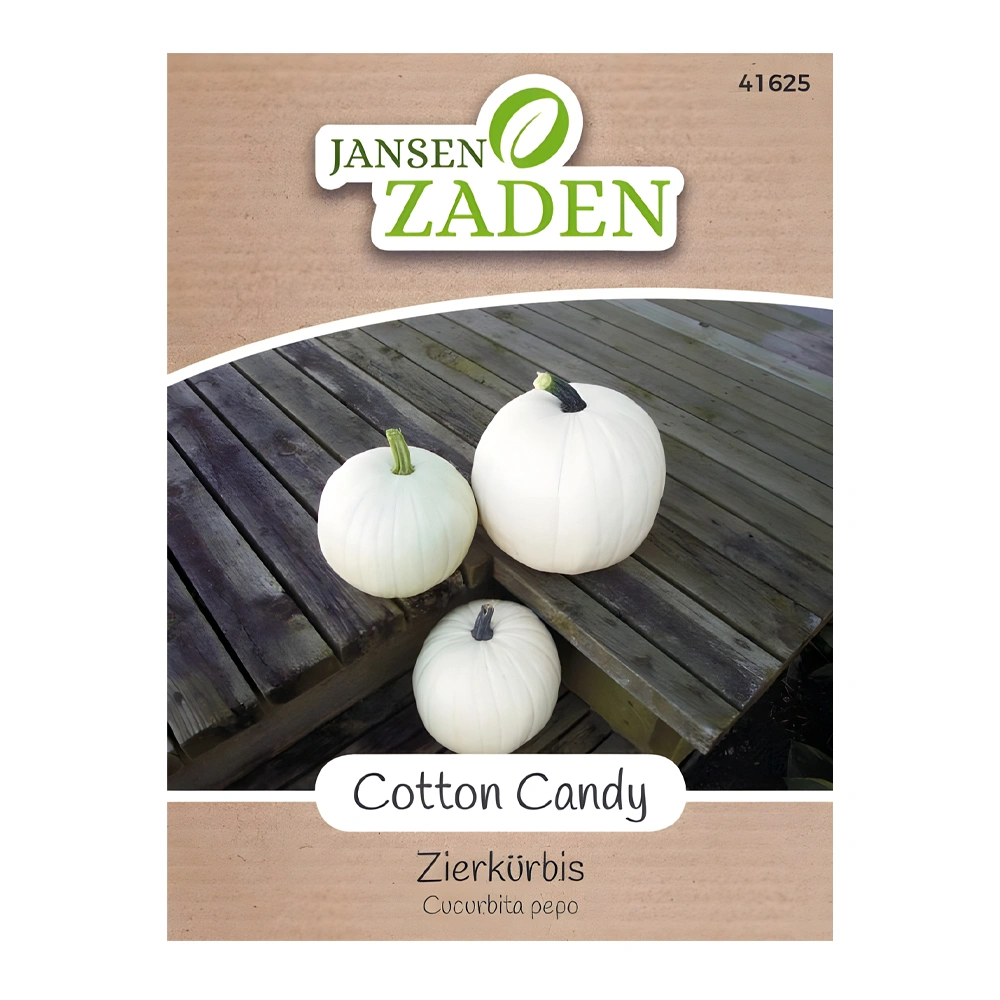 Ornamental Cotton Candy Pumpkin seeds
