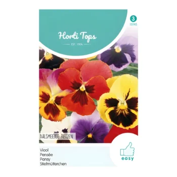 Pansy Aalsmeer Giants Viola