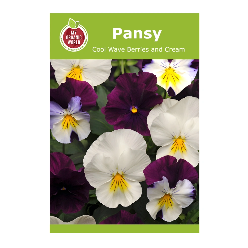 Pansy Cool Wave Berries and Cream seeds