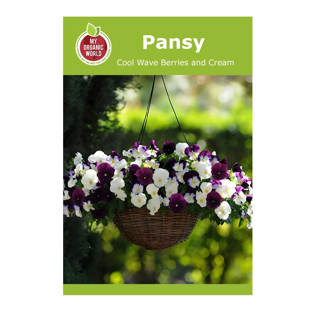 Pansy Cool Wave Berries and Cream seeds