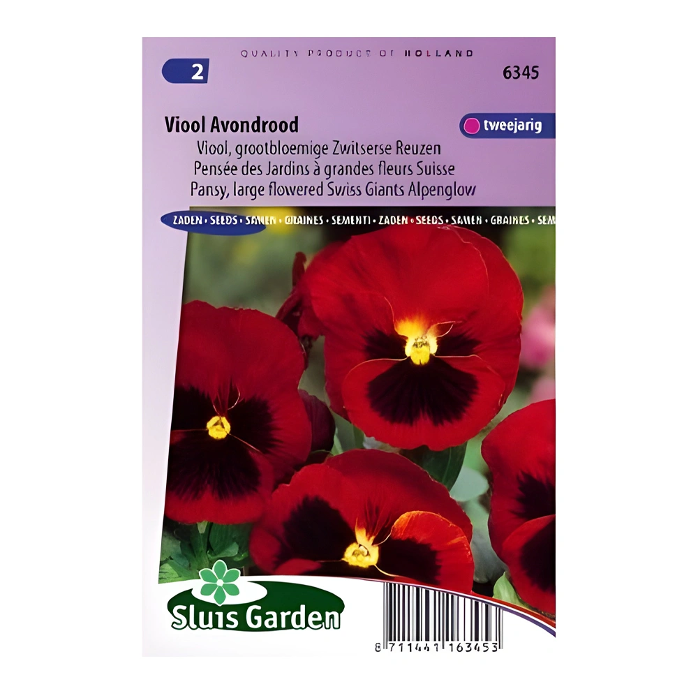 Pansy Swiss Giant Alpenglow Viola 1 Pansy Swiss Giant Alpenglow Viola