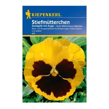 Pansy Golden Yellow with Eye
