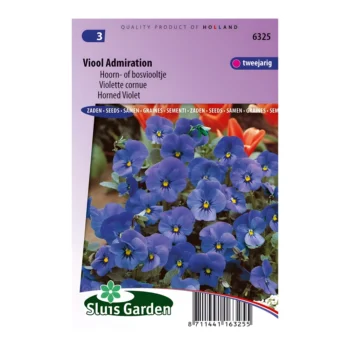 Pansy Horned Violet