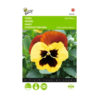 Pansy Red Wing