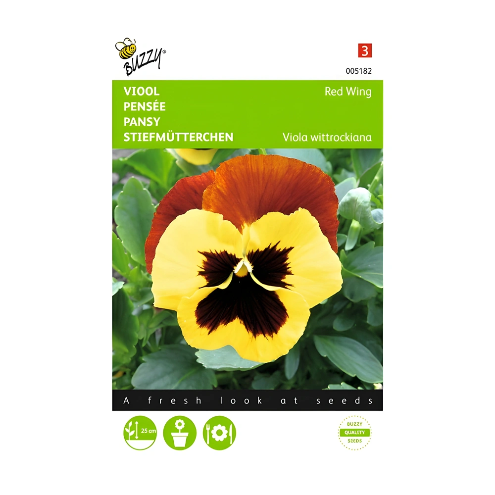 Pansy Red Wing